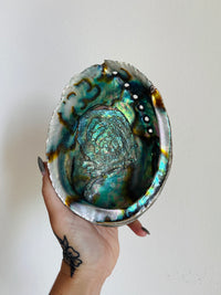 Load image into Gallery viewer, Large Abalone Shell
