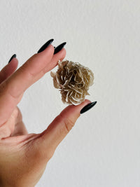 Load image into Gallery viewer, Desert Rose Gypsum
