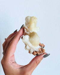 Load image into Gallery viewer, Apophyllite and Stilbite on Matrix Specimen
