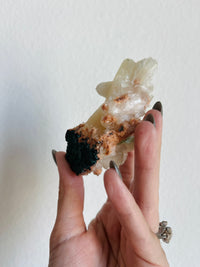 Load image into Gallery viewer, Apophyllite and Stilbite on Matrix Specimen
