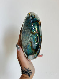 Load image into Gallery viewer, Large Abalone Shell
