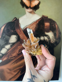 Load image into Gallery viewer, Selenite from Guizhou
