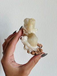 Load image into Gallery viewer, Apophyllite and Stilbite on Matrix Specimen
