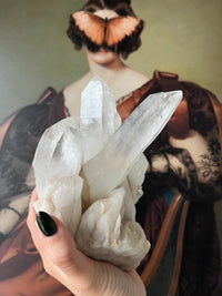 Load image into Gallery viewer, Large Quartz Cluster
