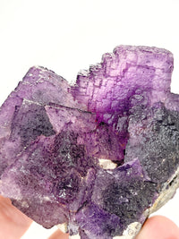 Load image into Gallery viewer, Fluorite with Galena from Muzquiz Mexico
